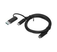 Lenovo - Câble USB - USB-C (M) pour USB-C (M) - 20 V - 5 A - 1 m - noir - pour ThinkPad T16 Gen 4 21QN