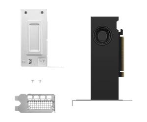 Lenovo Circuit graphique NVIDIA RTX 2000 Ada 16Go 4 mini-DP GDDR6 - 4X61P69962