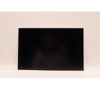 Lenovo Display AUO 14.0 WUXGA AG, FRU5D10V82364