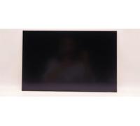 Lenovo DISPLAY AUO 16.0 WUXGA IPS AG (5D10V82410)