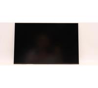 Lenovo DISPLAY FRU AUO 13.3 WUXGA IPS 300nit (5D11D34360)
