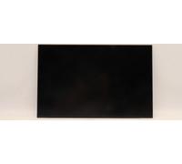 Lenovo DISPLAY FRU AUO B160UAN03.2 (5D10V82406)