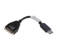 Lenovo DisplayPort DVI-D Cable 43N9160, DVI-D, DisplayPort, 43N9160 (43N9160, DVI-D, DisplayPort, Black, Male/Male)