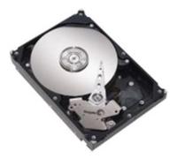 Lenovo - Disque dur - 500 Go - échangeable à chaud - 2.5" SFF Slim - SATA 3Gb/s - 7200 tours/min - pour BladeCenter HS22; System x3400 M2; x3500 M2; x35XX M3; x3650 M2; x36XX M3; x3850 X5 G