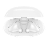 Lenovo Écouteurs stéréo sans Fil E310 Bluetooth 5.3 ENC avec Suppression du Bruit avec Haut-Parleur de 13 mm de Type C, Charge de la Batterie de 20 Heures d'autonomie pour Les appels musicaux