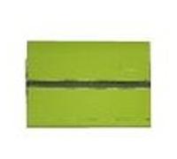 Lenovo - Étui protecteur pour tablette - vert - 8" - pour Yoga Tablet 2-830 Vert G