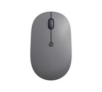 Lenovo Go - Souris - ergonomique - droitiers et gauchers - bleu optique - 5 boutons - sans fil - 2.4 GHz - récepteur sans fil USB-C - gris orage - Pour la vente au détail - CRU