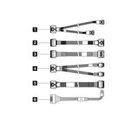 Lenovo - Kit de câbles de stockage - pour châssis 2,5" SAS/SATA avant BP1 - pour ThinkSystem SR650 V3 7D76