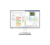 Lenovo L24e-40 Moniteur FHD 23,8", gris nuage