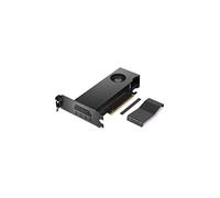 Lenovo Nvidia RTX A2000 12 Go GDDR6