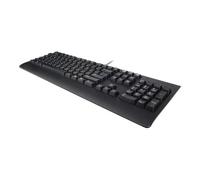 Lenovo Preferred Pro II - Clavier - full size - USB - QWERTY - Suédois/Finnois - noir - boîtier marron