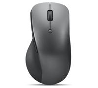 Lenovo Professional - Souris - ergonomique - bleu optique - 6 boutons - sans fil - Bluetooth 5.1 - gris orage - pour ThinkPad T16 Gen 4 21QN