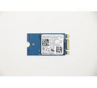 Lenovo Sandisk 1101 512GB M.2 PCIe 2242 SDAPMUW-512G-1101 SSD, FRU01FR579 (2242 SDAPMUW-512G-1101 SSD)