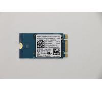 Lenovo SDK 1101 256G M.2 PCIe 2242 SS **New Retail**, 01FR578 (**New Retail**)