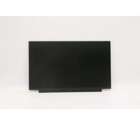 Lenovo Sparepart AUO13.3HDTNAG250nit, FRU02HL701