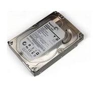 Lenovo M70s 3,5" SATA 2.000 Go - Festplatte - 7.200 rpm - Intern