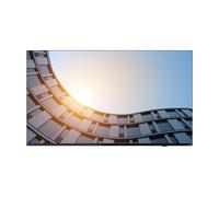 Lenovo Moniteur ThinkVision E65 LFD 65" (163,8 cm) 4K UHD 3840×2160 HDR LCD Noir