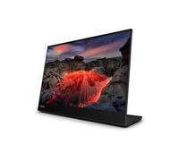 Lenovo ThinkVision M14t Gen 2 - Écran LED - 14" - portable - écran tactile - 2240 x 1400 @ 60 Hz - IPS - 300 cd/m² - 1500:1 - 6 ms - 2xUSB-C - noir corbeau