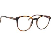 Lentiamo Sandro Havana Brown