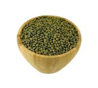 Lentille Verte Bio en Vrac 500g Vrac Bio