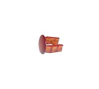 Lentille voyant pour table de cuisson C00312211