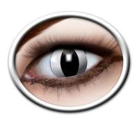 Lentilles Chat Blanc 12 Mois Zoelibat - Blanc / noir