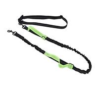 L'entraînement à Chiens réfléchissant, Laisse la Laisse de Marche Portable rétractable pour Les Chiens Qui tirent des exploits pour Chiens Laisse pour la Laisse des Chiens avec (Vert)
