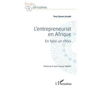 L'entrepreneuriat En Afrique - En Faire Un Choix