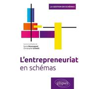 L'entrepreneuriat En Schémas