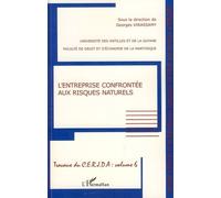 L'entreprise confrontée aux risques naturels