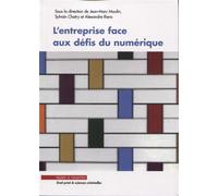 L'entreprise face aux défis du numérique - Jean-Marc Moulin - Mare & Martin - broché - Etude