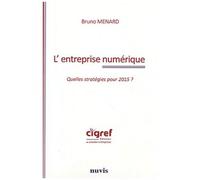 L'entreprise Numérique - Quelles Stratégies Pour 2015 ?