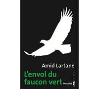 L'Envol du faucon vert