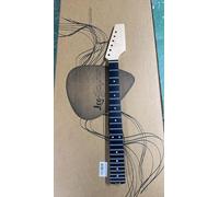 Leo Jaymz Série manche de guitare électrique (NK-CR1001)