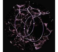 Leo Len - Echolocation [12-Inch Single] Extended Play