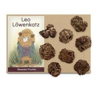 LEO LÖWENKATZ Fruits Matatabi (plus intense que les bâtonnets Matatabi, l'herbe à chat en vrac ou les jouets pour chat valériane)