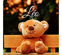 Léo: Souvenirs de naissance - album à compléter et personnaliser avec vos photos - format 21X21