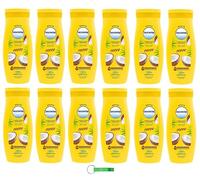 Leocrema Lot de 12 crèmes pour le corps hydratantes à la noix de coco 72 heures d'hydratation intense 250 ml + porte-clés Beni Culinari