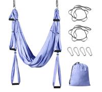 Leogreen Hamac De Yoga Aerien Kits, Balancoire Yoga Inversion Hamac, Pour Le Yoga Anti-Gravite, Nylon Taffetas, Capacite 300 Kg, Violet Clair