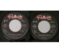 LEON RUSSELL - from maine to mexico / mono