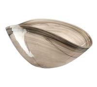 Leonardo 031217 Alabastro Coupe Verre Beige 38 x 20 cm