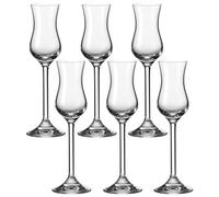 Leonardo 35237 Daily Set de 6 Verres Grappa 100 ml