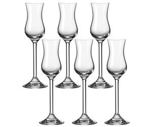 Leonardo 35237 Daily Set de 6 Verres Grappa 100 ml