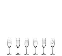 Leonardo Casella 061798 Lot de 6 flûtes à champagne, verre à prosecco avec motifs, résistant aux chocs, passent au lave-vaisselle, 190 ml