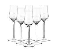 LEONARDO HOME Ciao+ Gastro Edition Lot de 30 verres à spiritueux avec 2 cl / 4 cl - Verseur, remplissage complet à bord de 85 ml, verres pratiques pour hôtel et restauration