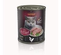 Leonardo Pur dans l'oiseau