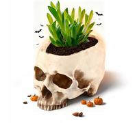 Leopacat Pot Fleur CrâNe RéSine Gothique 16.5Cm DéCoratif Maison Bar | Parfait Pour DéCorer Maison Et Bar, Ranger Des Petits Objets Ou Stocker Des Snacks Pendant Halloween
