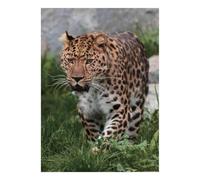Leopard Herbe Nature 1000 Pièces Mini Puzzle pour Adultes Idée Cadeau | 52x38cm Carton Amateurs De Puzzles Relaxation Mentale Puzzle Fait Main Cadeau Anniversaire Décoration Maison