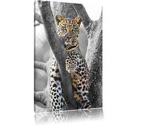 Leopard majestueux sur l'arbre noir / blanc sur toile, énorme XXL photos complètement encadrée avec civière, impression d'art sur ??la photo murale avec cadre, moins cher que la peinture ou une peinture à l'huile, pas une affiche ou une bannière