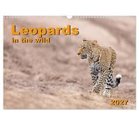 Leopards in the wild (Wall Calendar 2027 DIN A3 landscape), CALVENDO 12 Month Wall Calendar: Impressive leopard pictures from East Africa